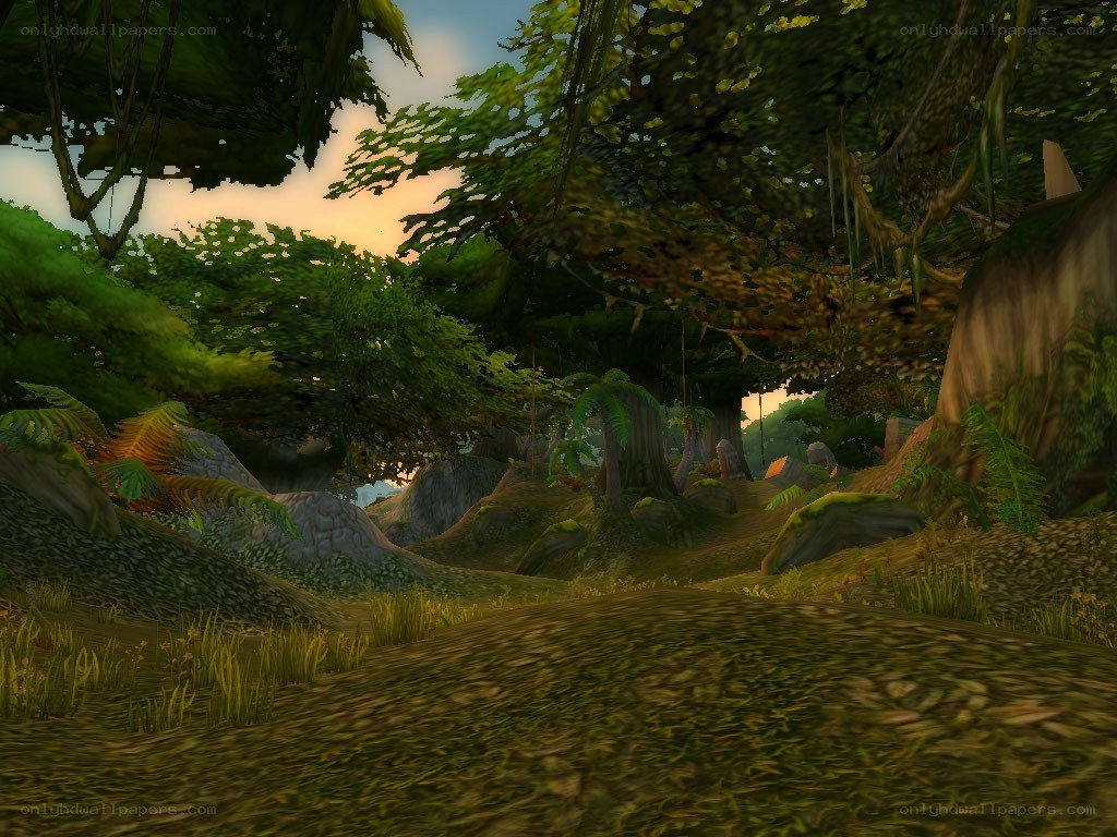 lush forest landscape