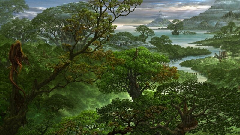 lush forest landscape