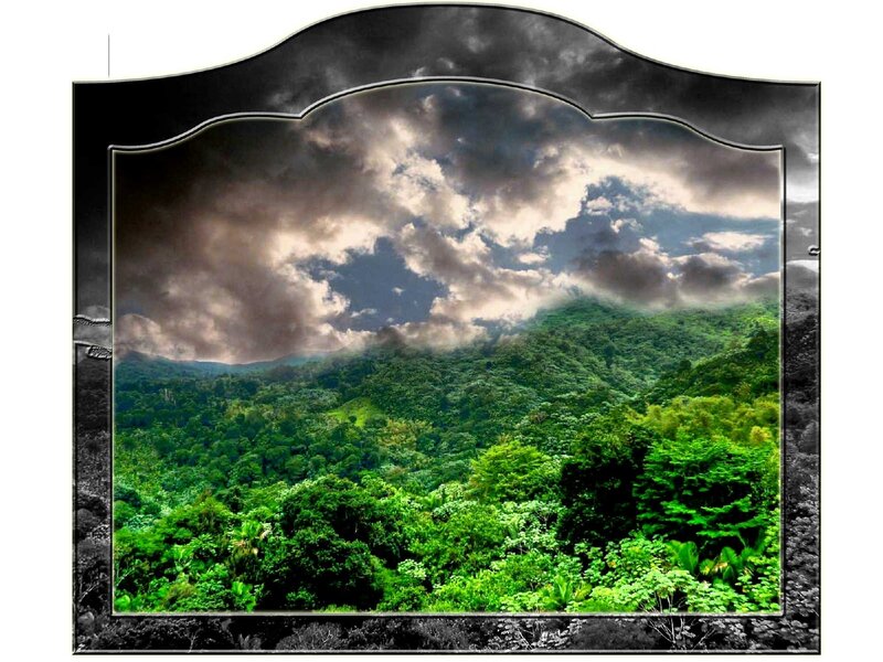 Lush forest under stormy sky
