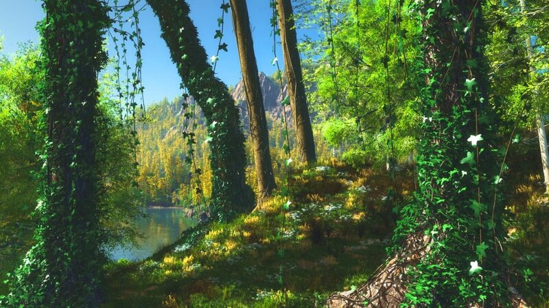 Lush Forest with River
