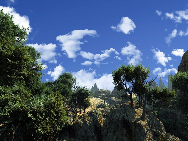 Lush forest with rocky cliffs