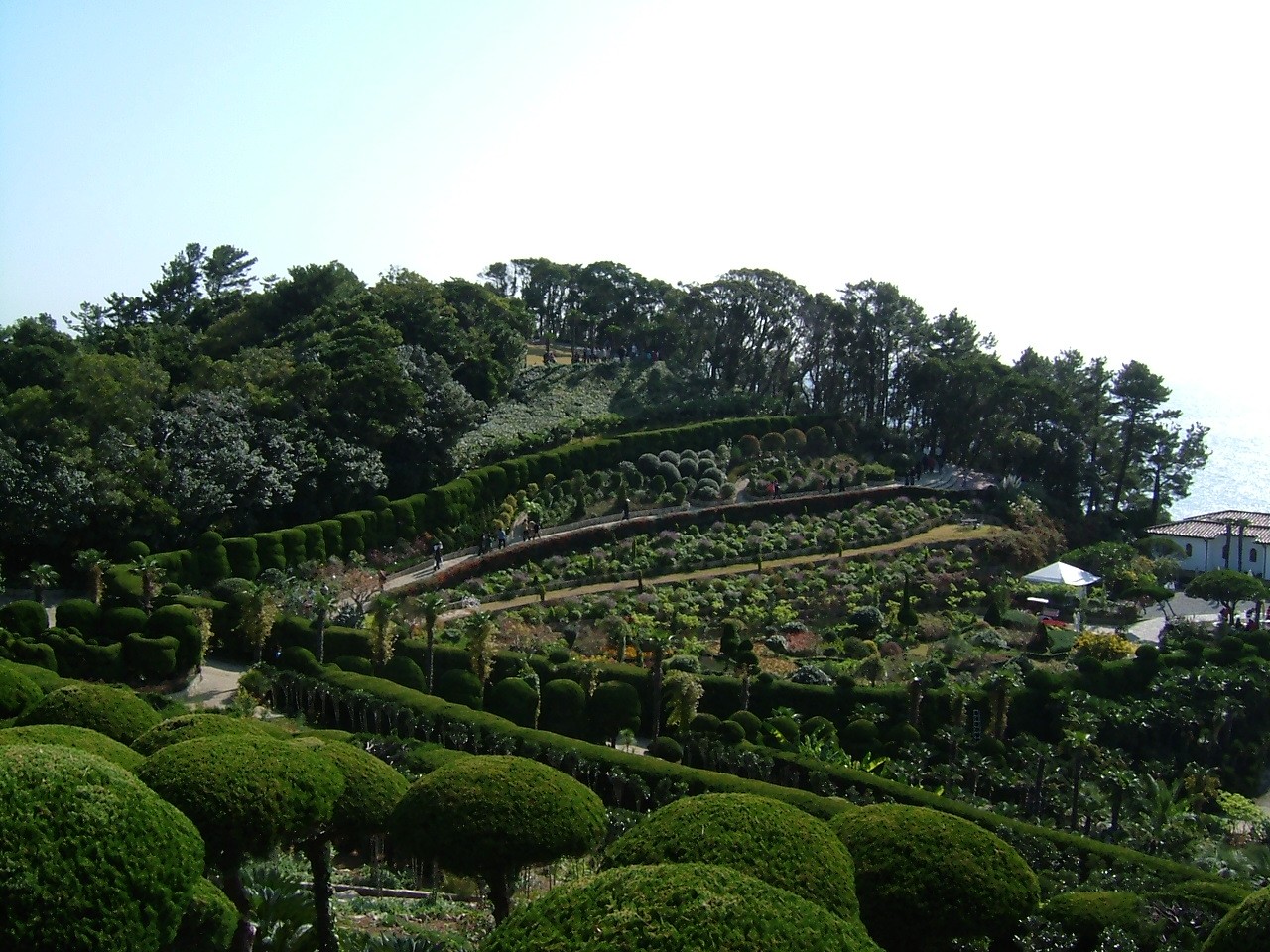 Lush garden on a hillside