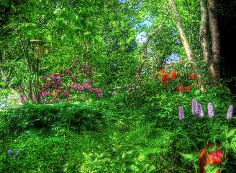 lush garden with colorful flowers
