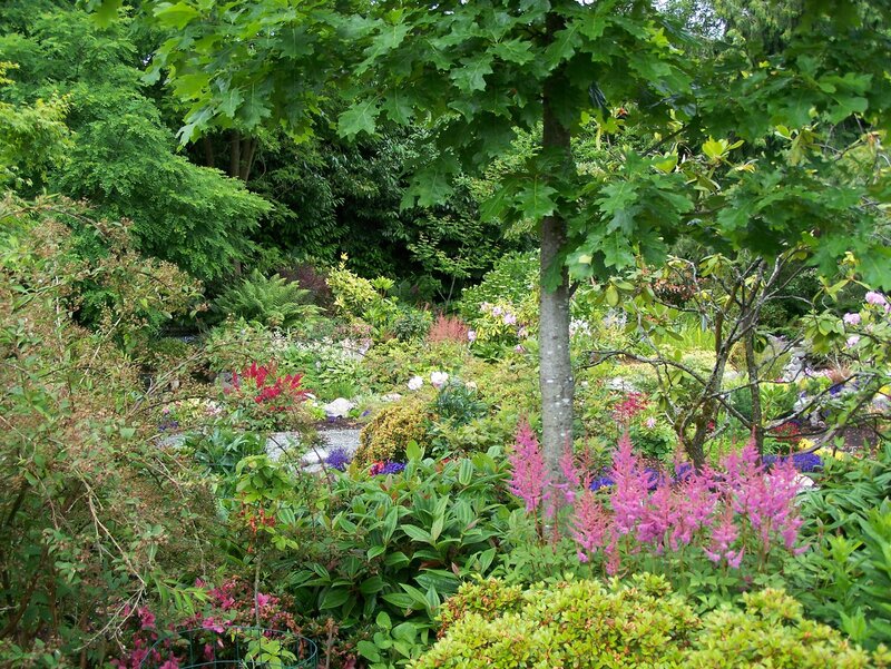 lush garden with colorful flowers