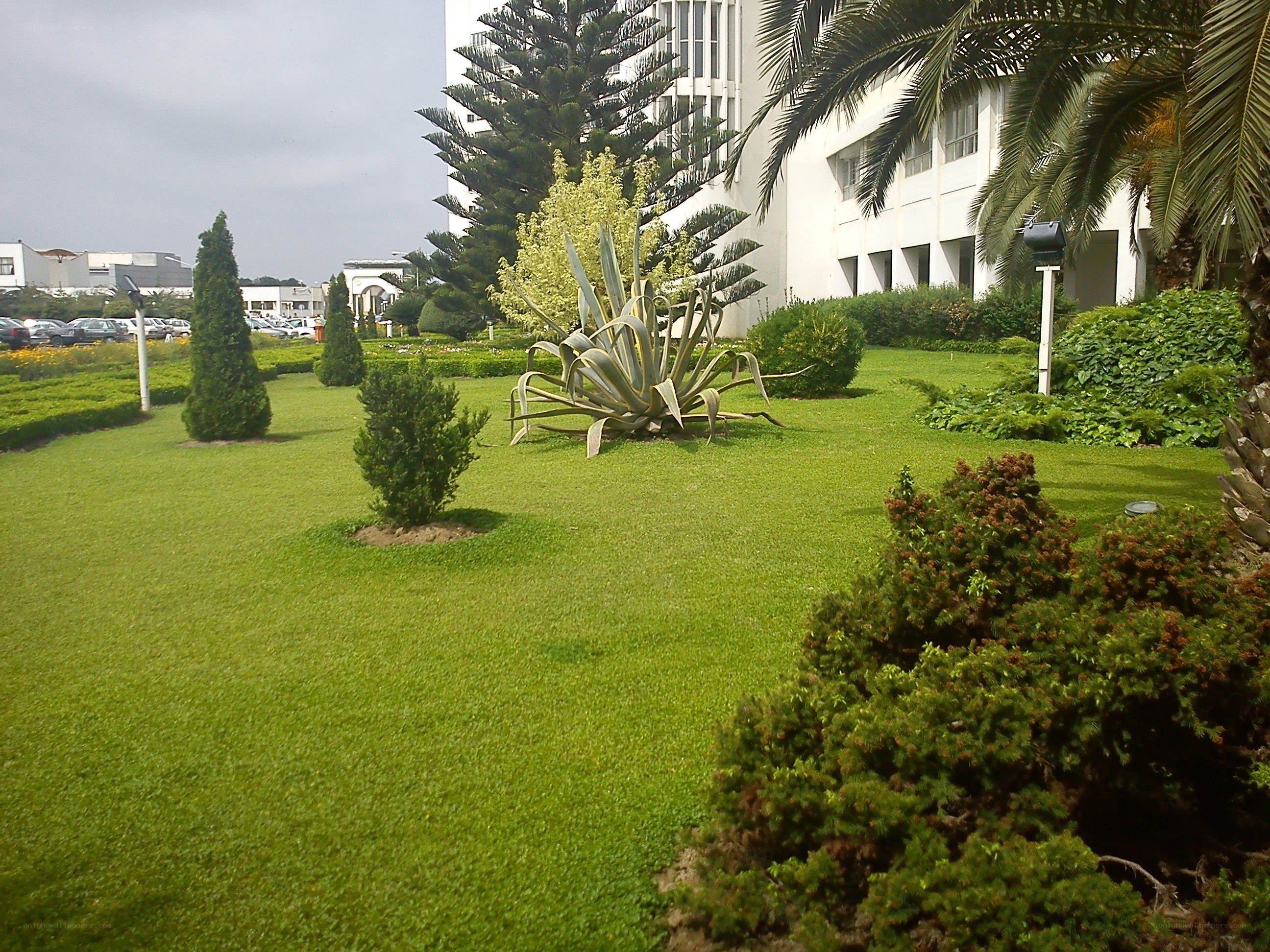 Lush garden with modern building