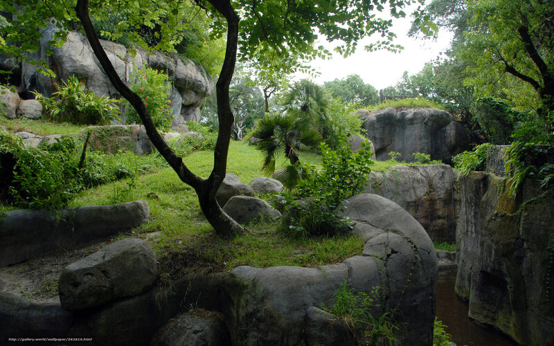 lush garden with rocks and trees