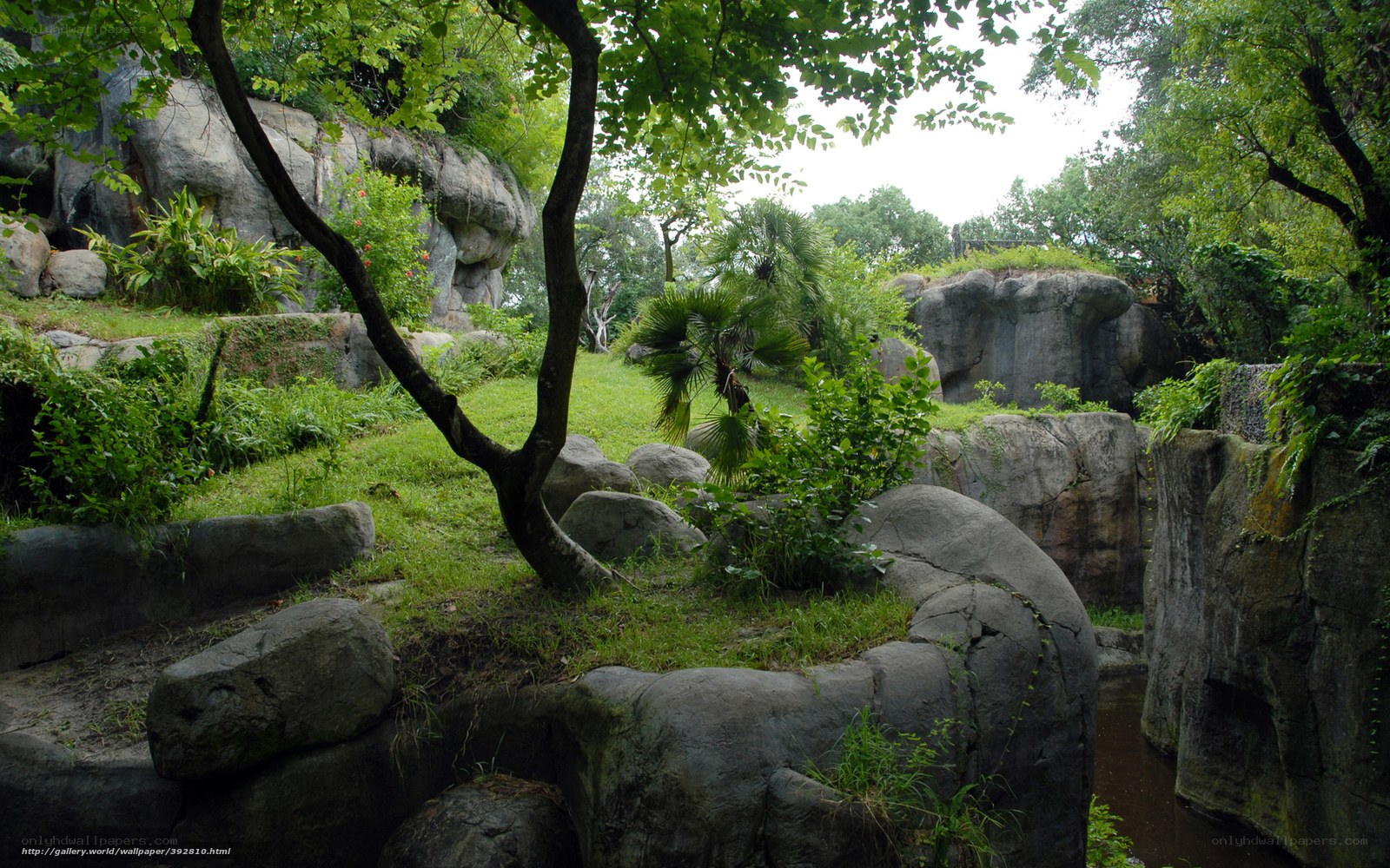 lush garden with rocks and trees