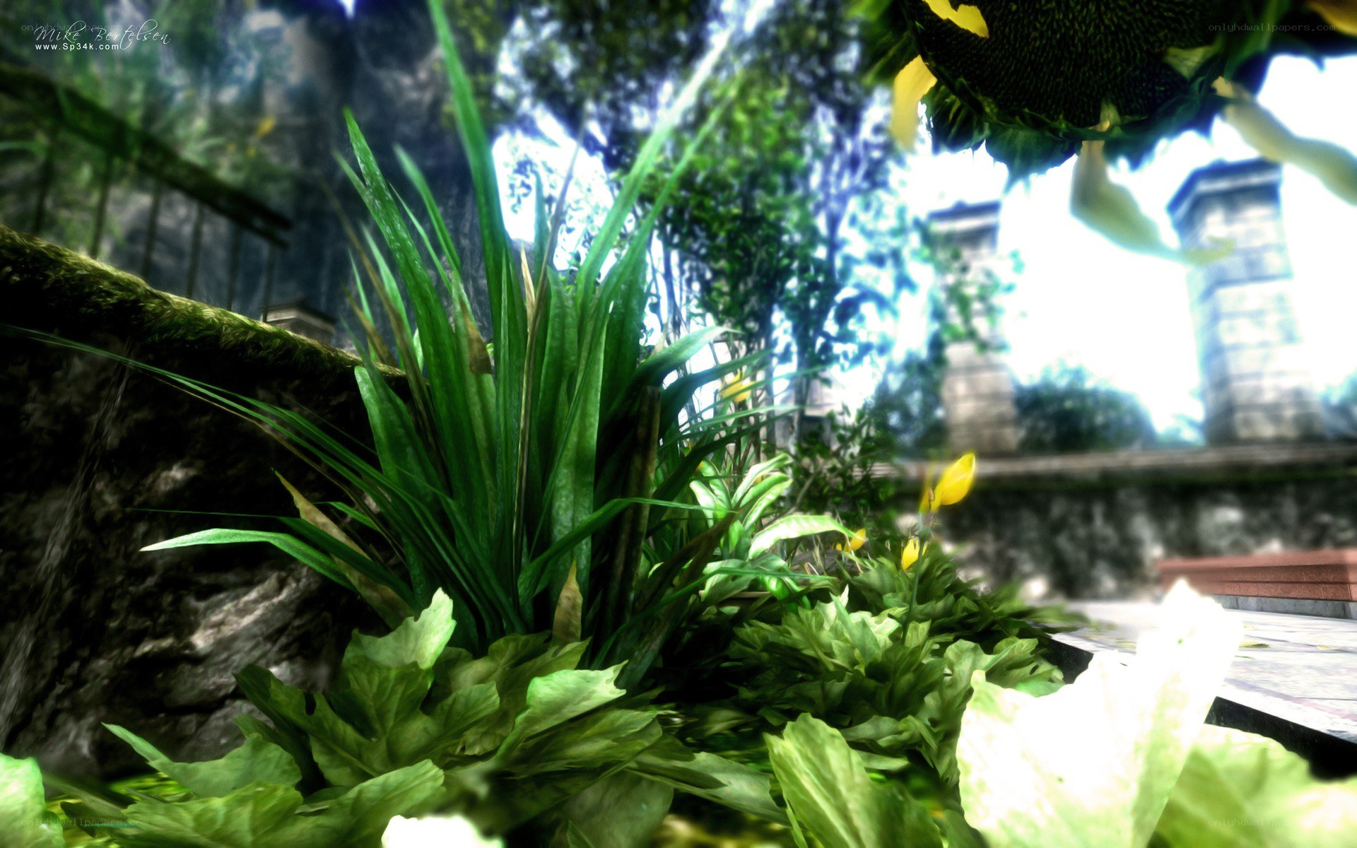 lush garden with sunflower
