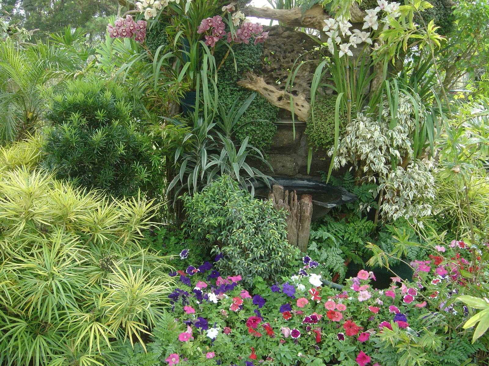 lush garden with waterfall