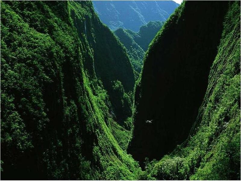 lush green canyon landscape