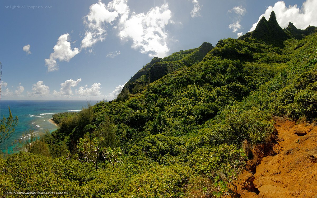Lush green cliffs overlooking the ocean