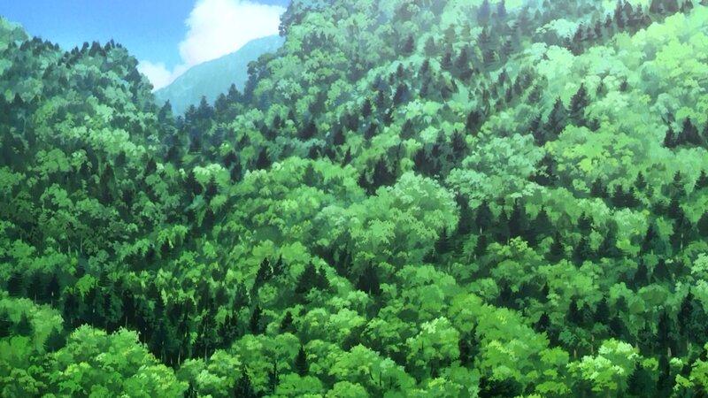 lush green forest landscape