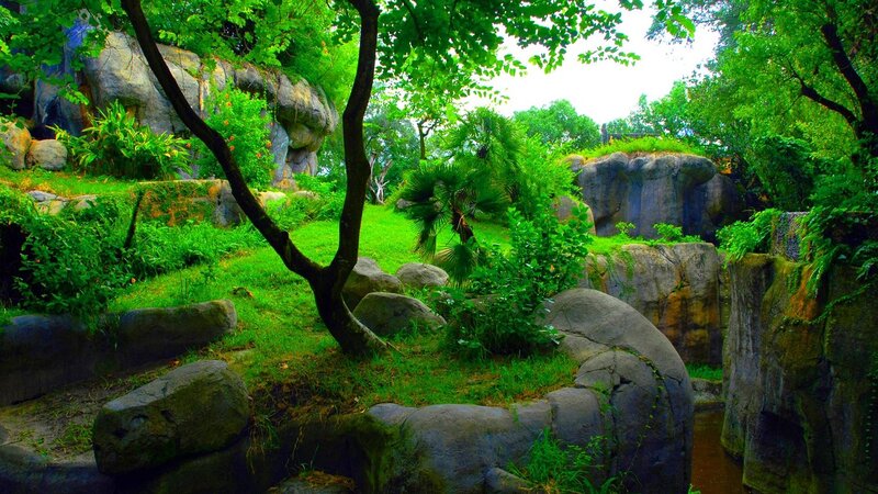 Lush Green Garden — Serene, Afternoon