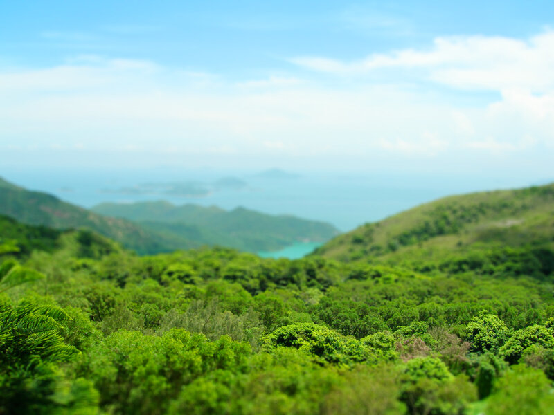 Lush green hills overlooking the sea