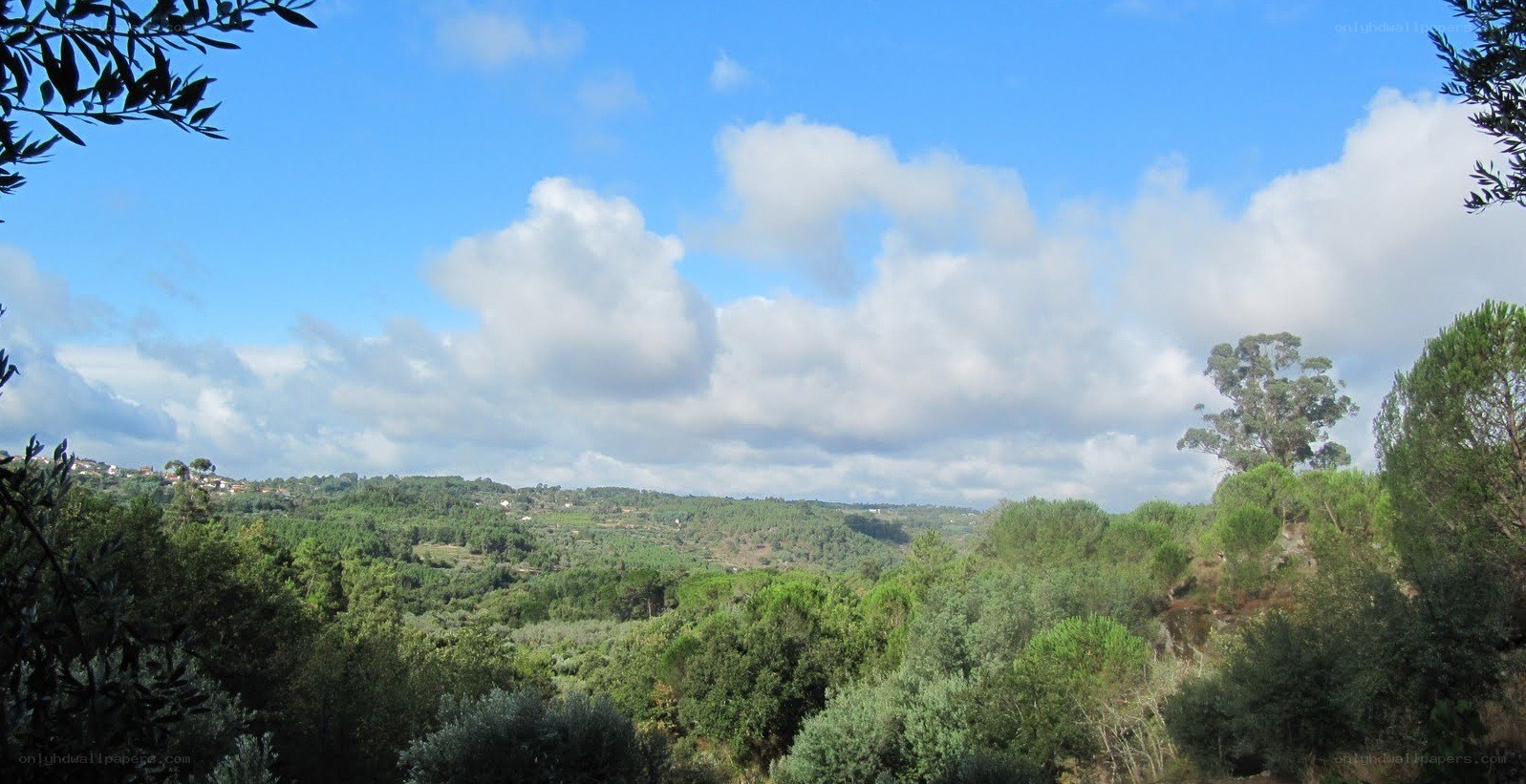 Lush green hills under blue sky