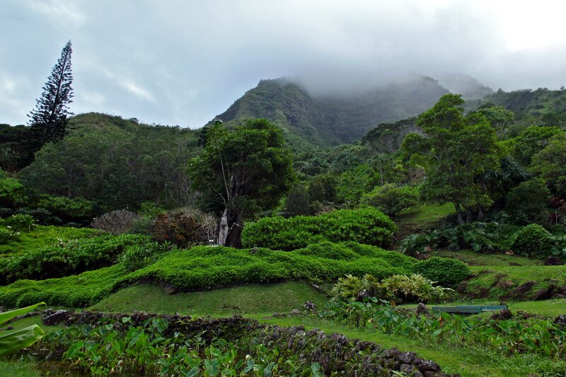 lush green hills under cloudy sky