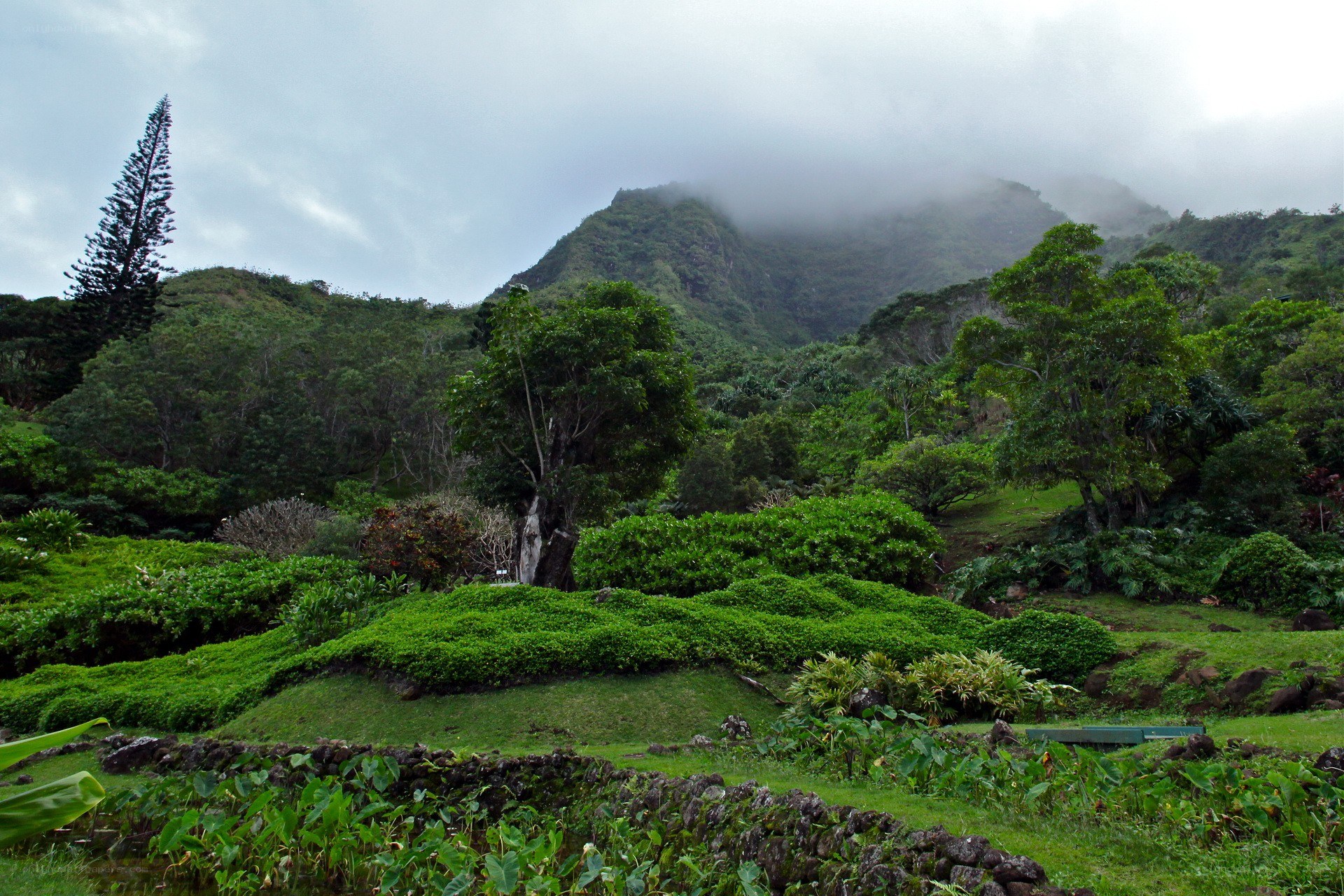 lush green hills under cloudy sky