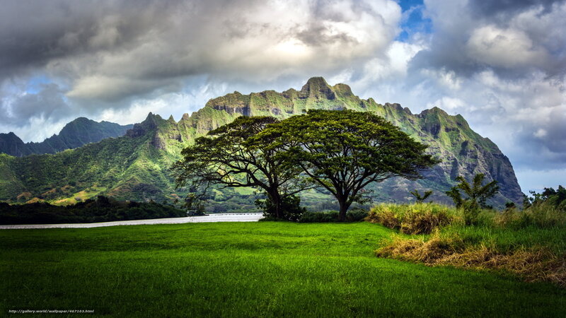 Lush green landscape with mountains