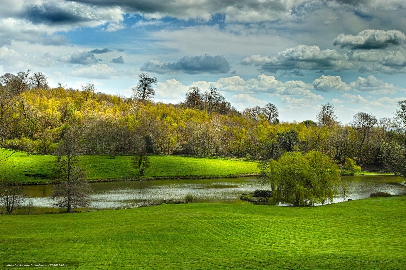 Lush green landscape with pond