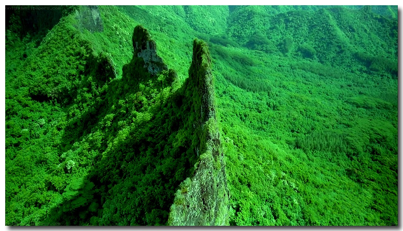Lush green mountain peaks