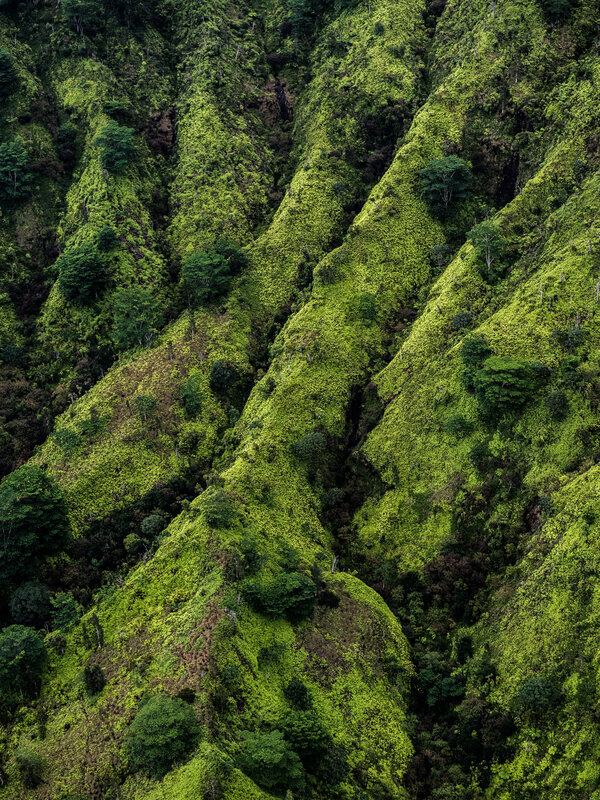 Lush Green Mountain Slopes