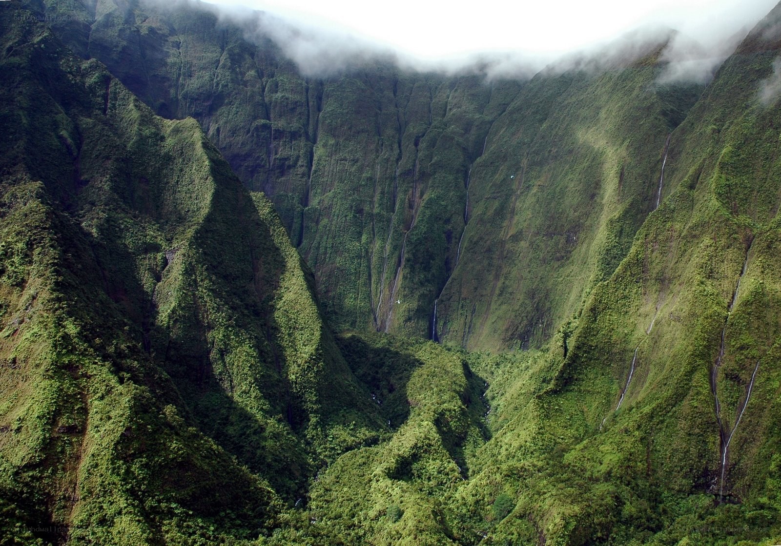 lush green mountain valley