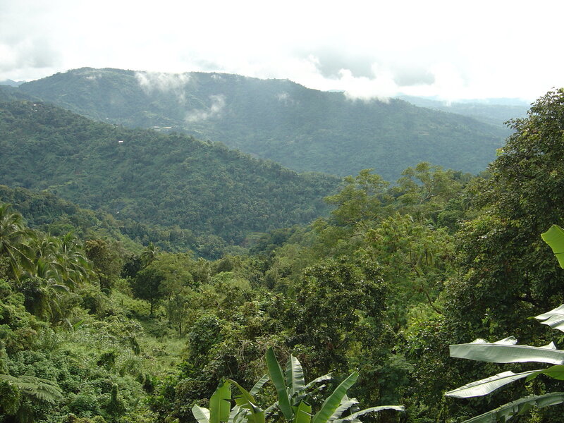 lush green mountain valley