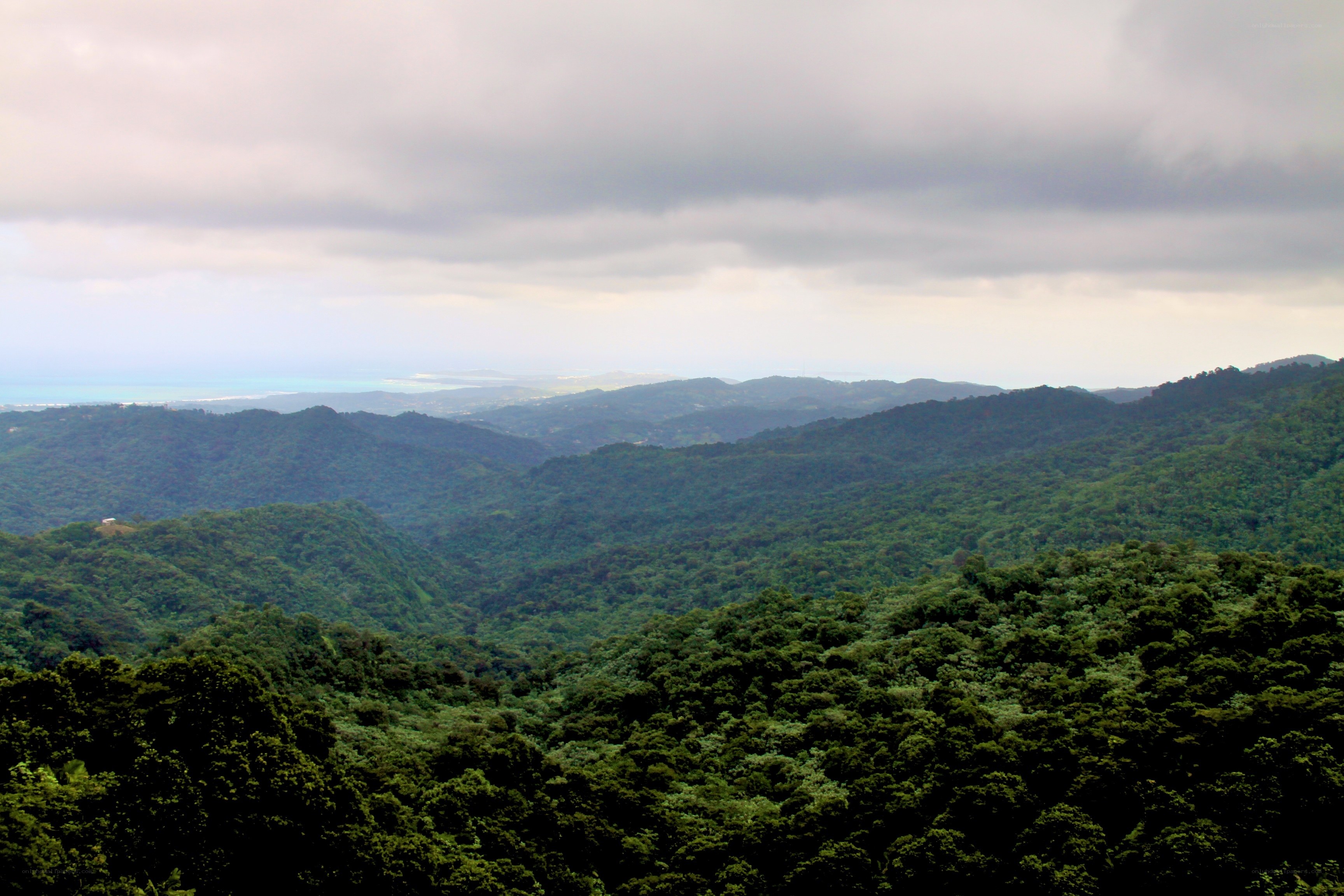 Lush green mountains and ocean view