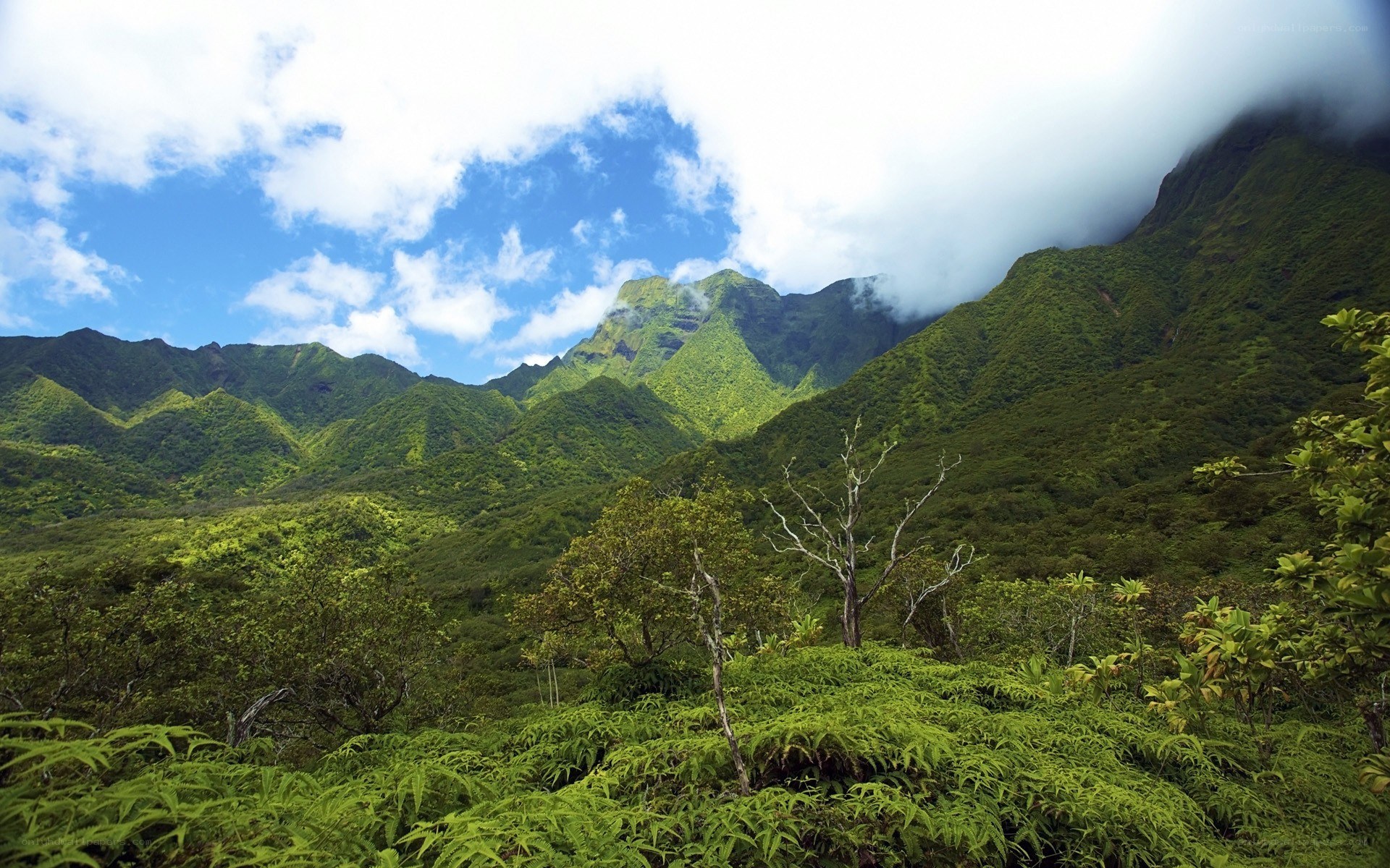 lush green mountains under cloudy sky