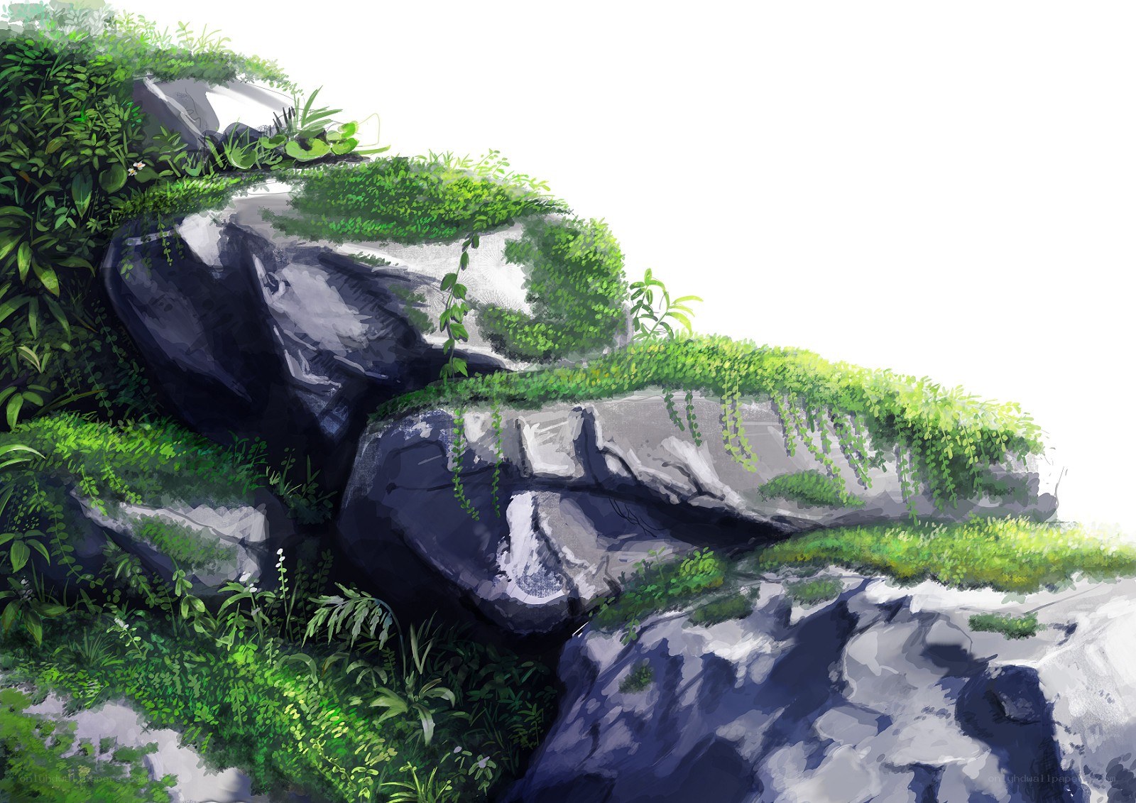 lush green rocks