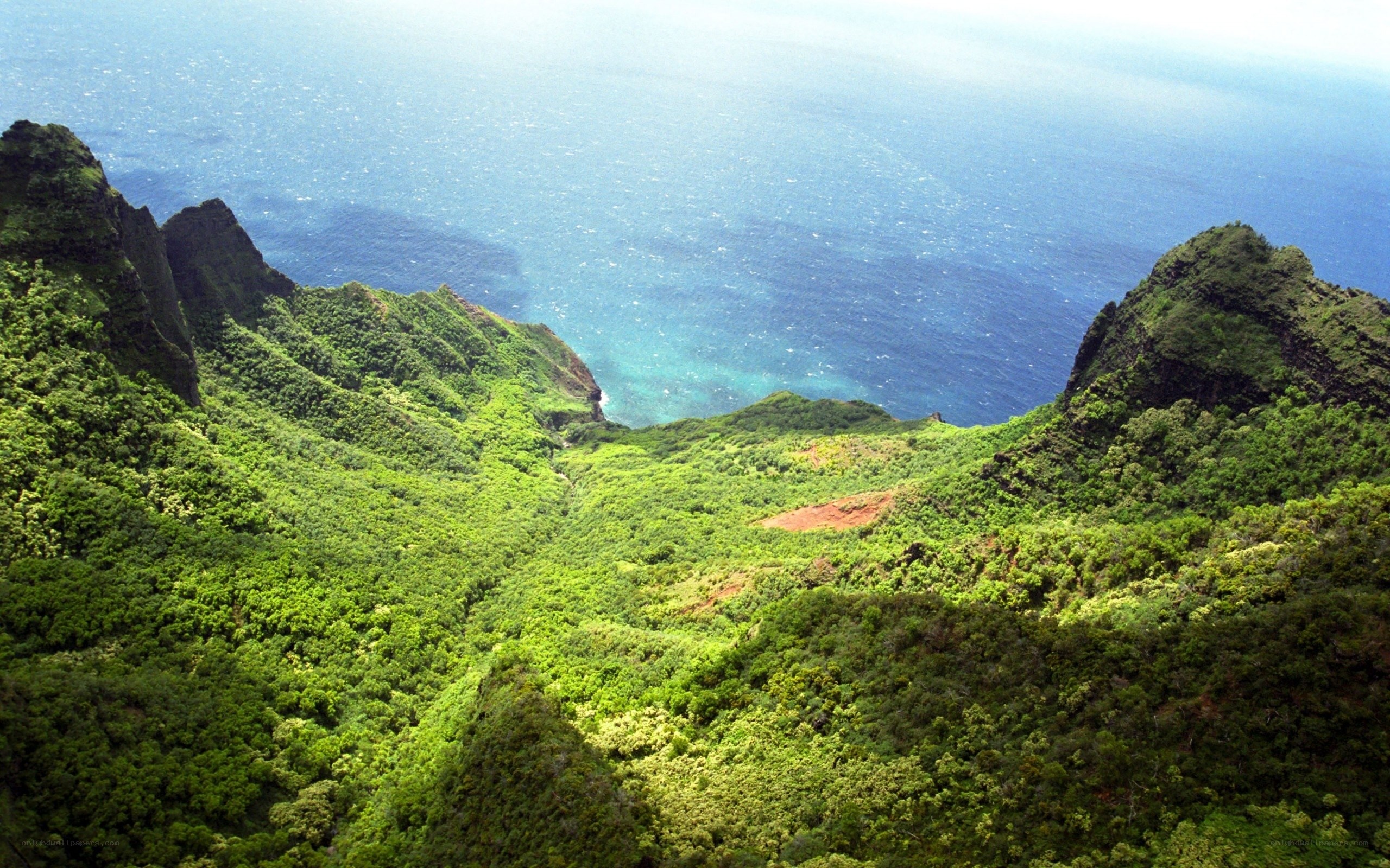 lush green valley overlooking ocean
