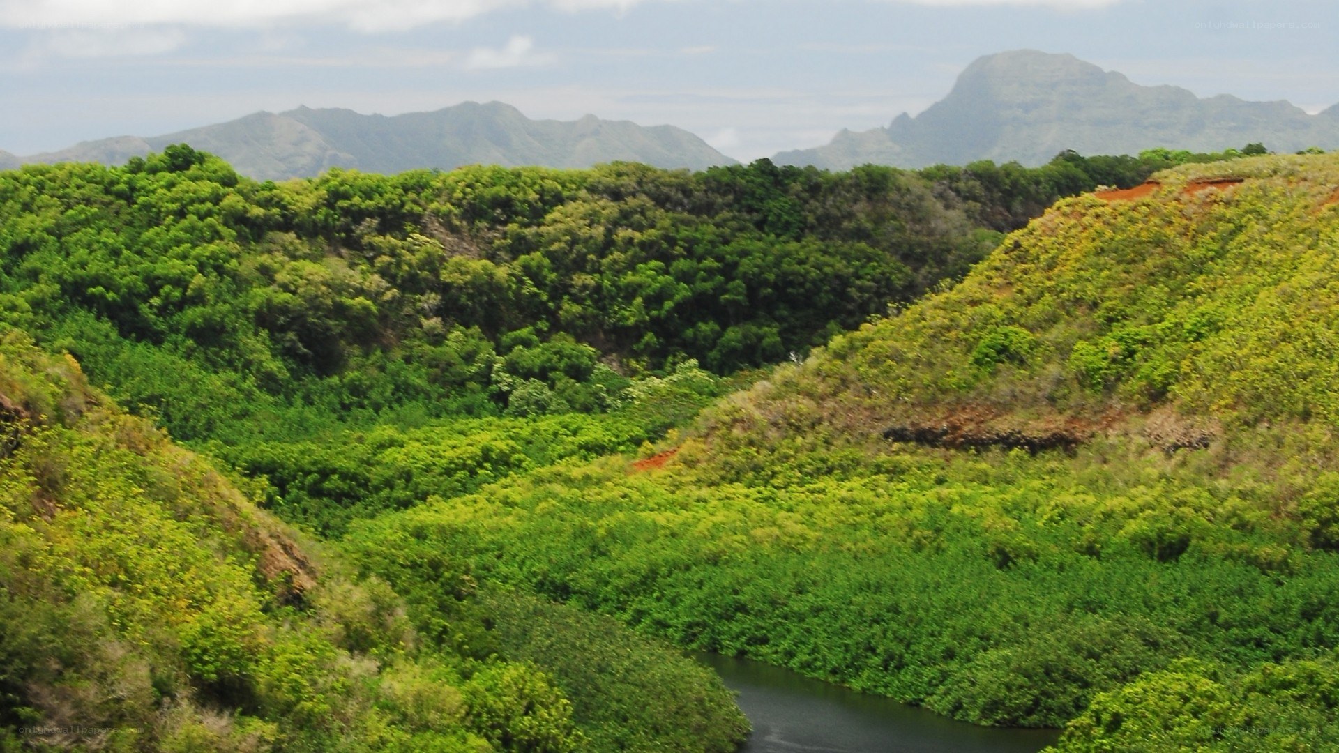 lush green valley with river