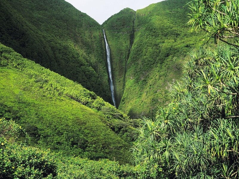 lush green valley with waterfall