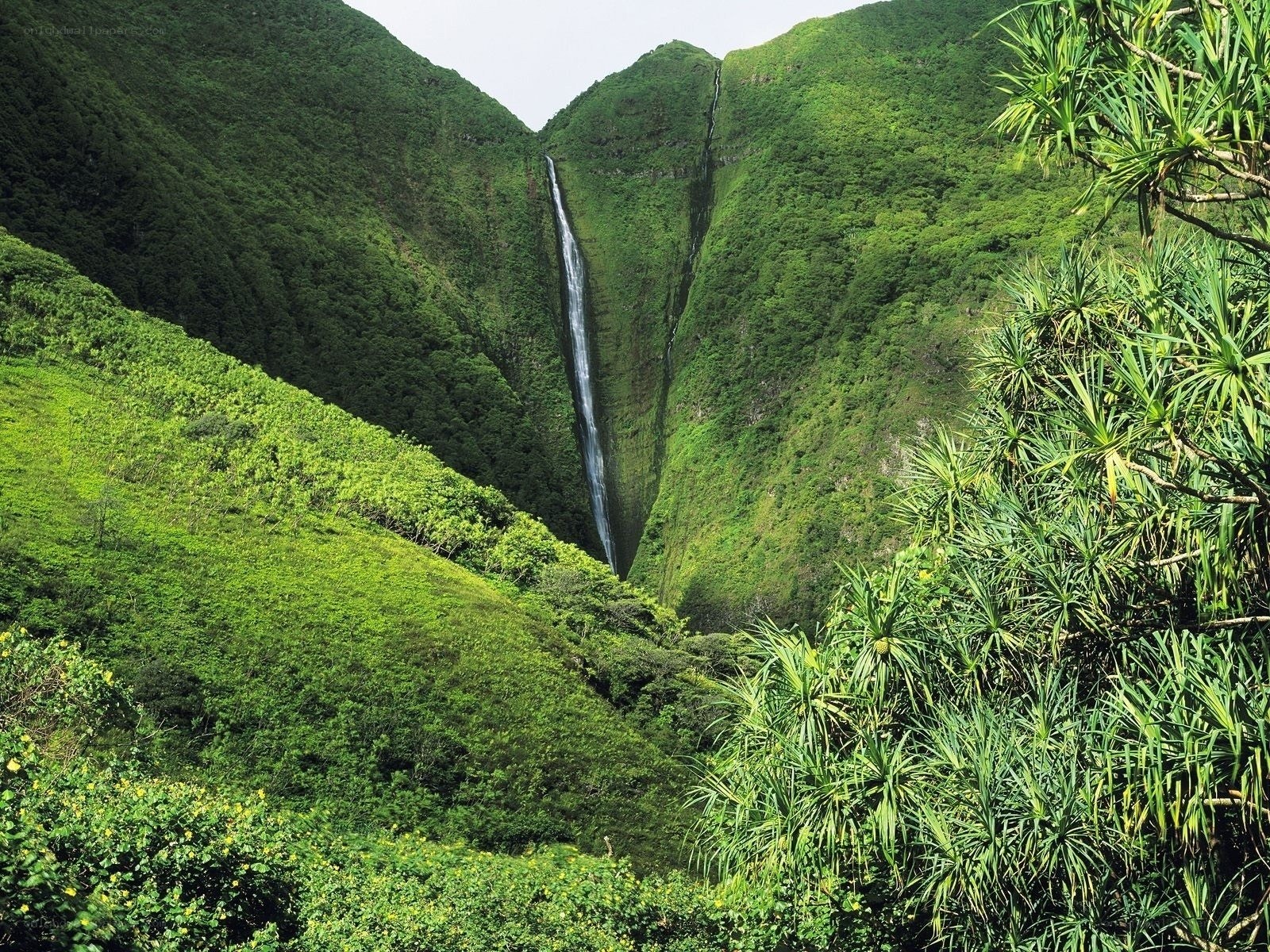 lush green valley with waterfall