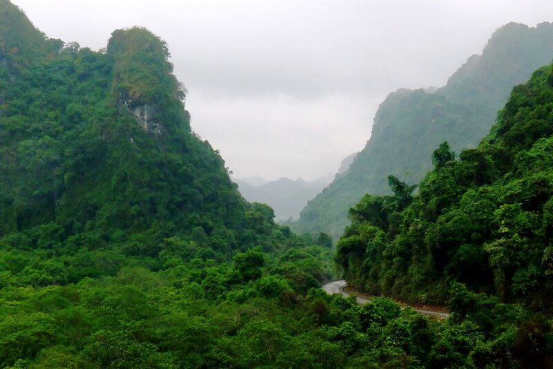 lush green valley with winding road
