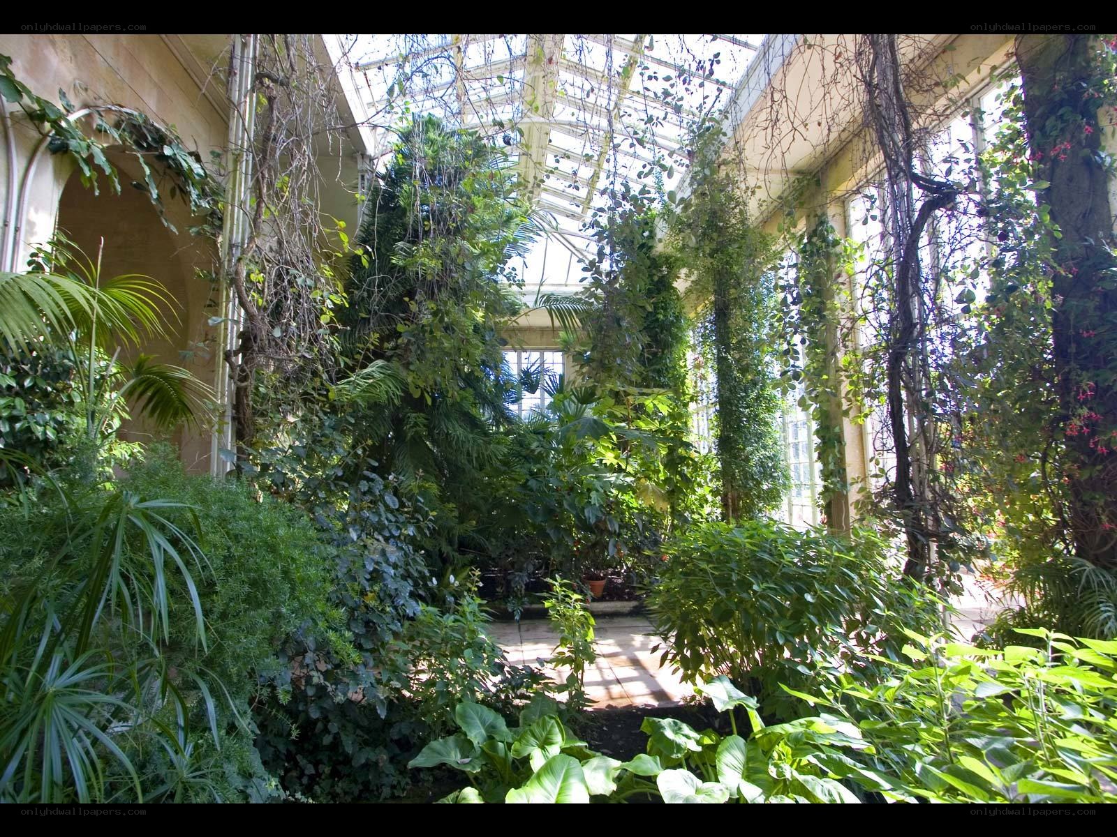 lush greenhouse interior
