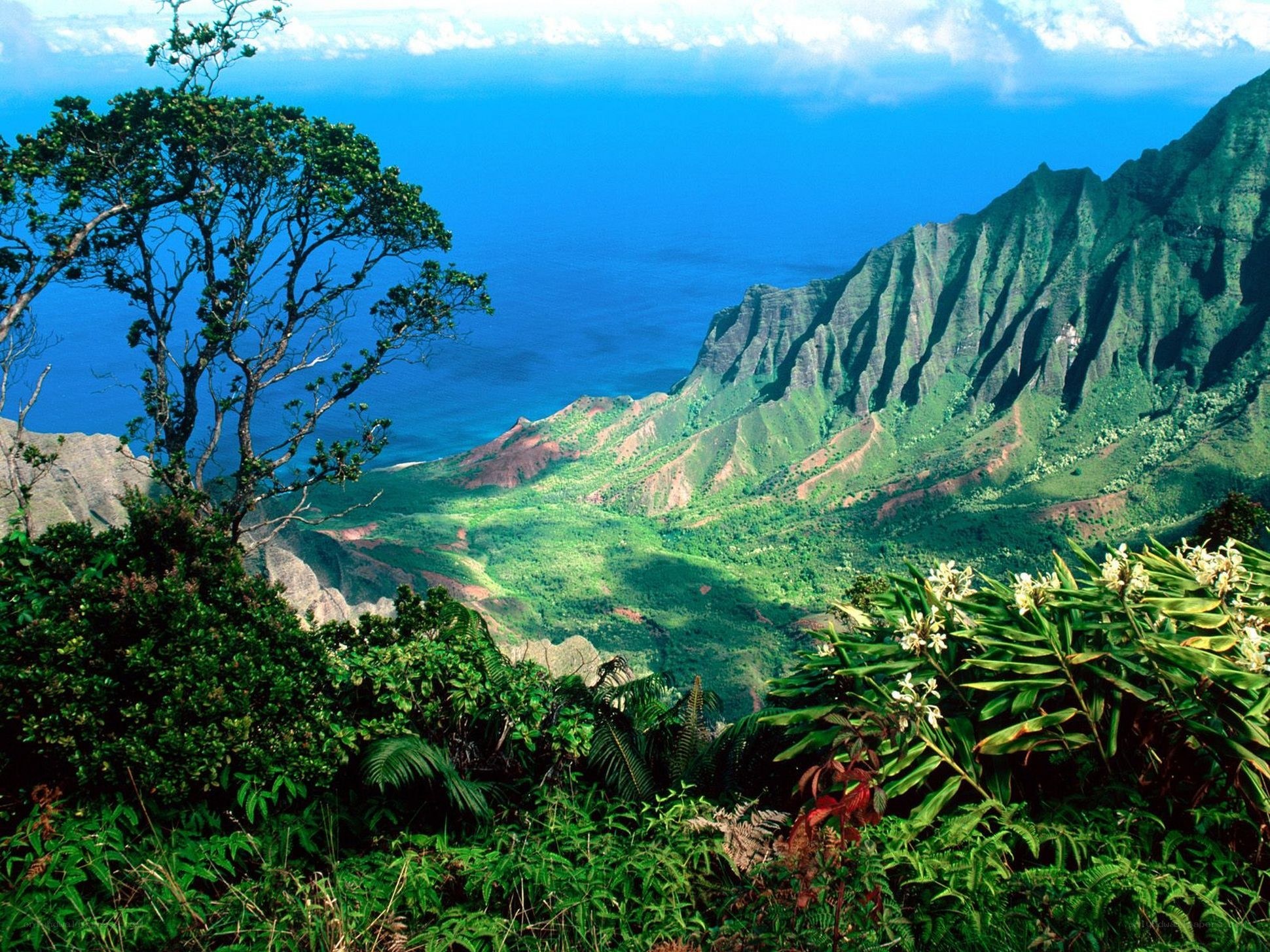Lush Hawaiian mountain valley