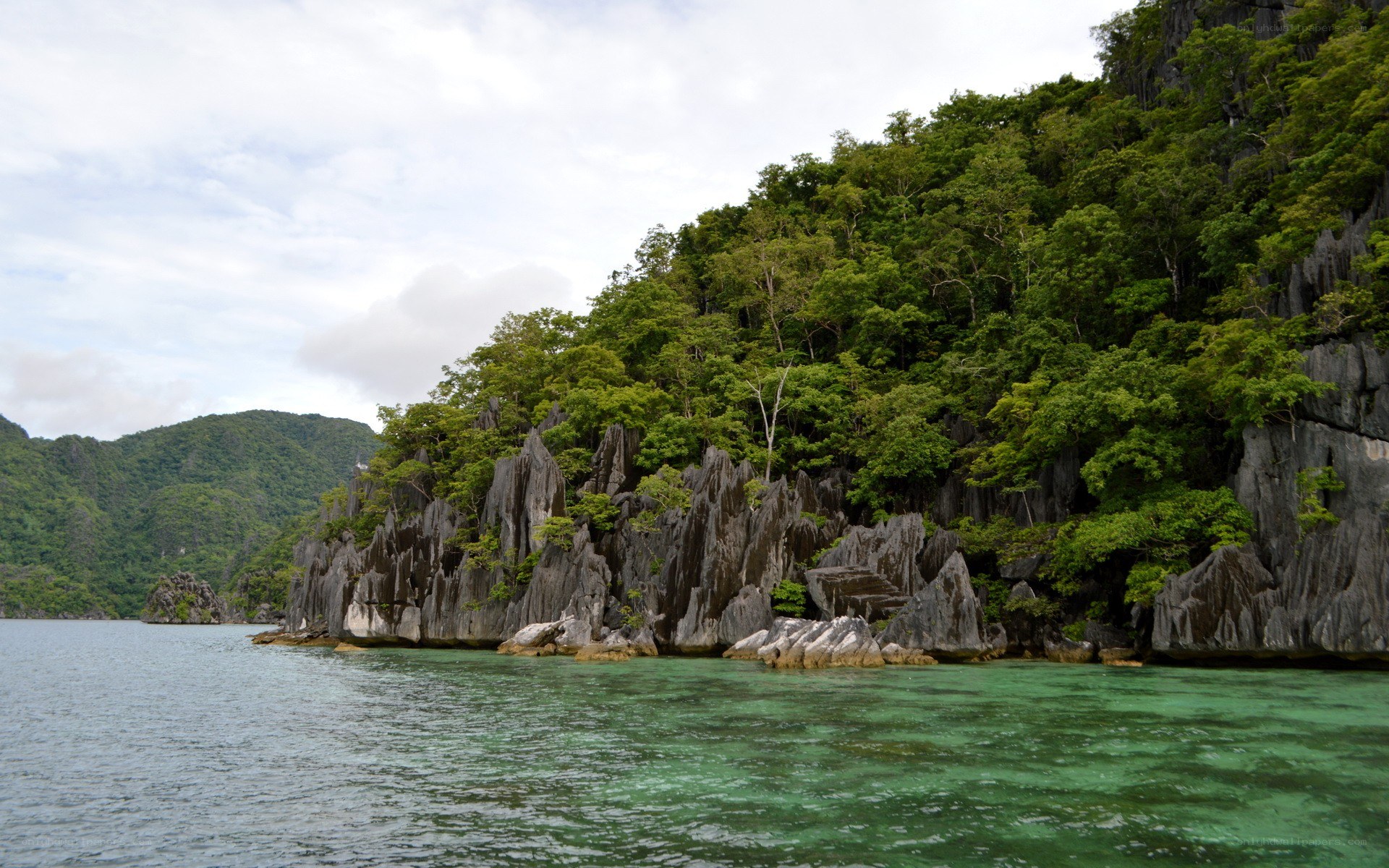 Lush island with rocky cliffs