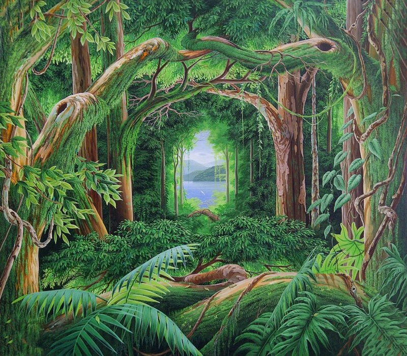 Lush Jungle Forest