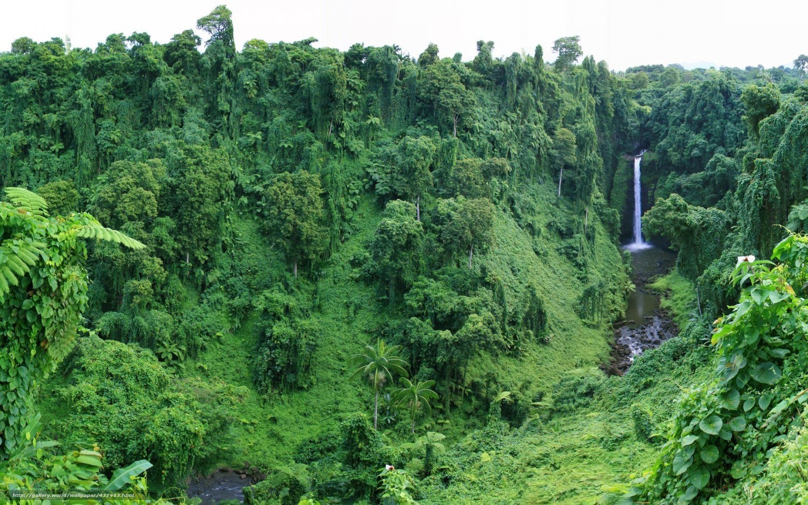 lush jungle waterfall