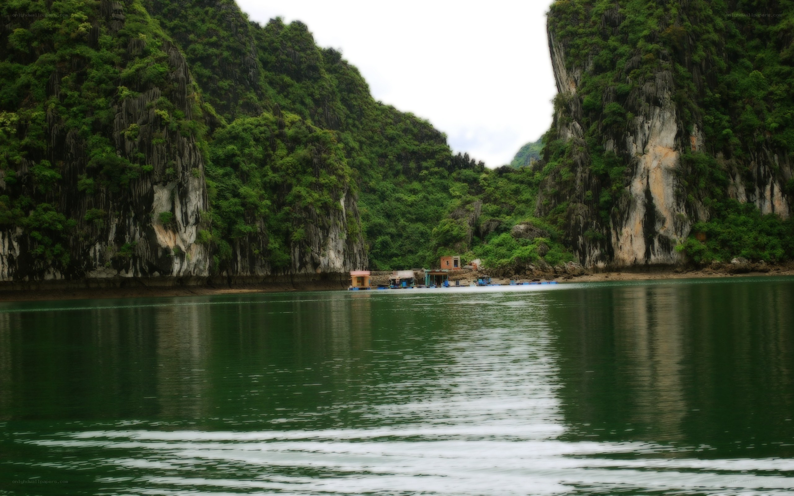 Lush karst cliffs by a calm river