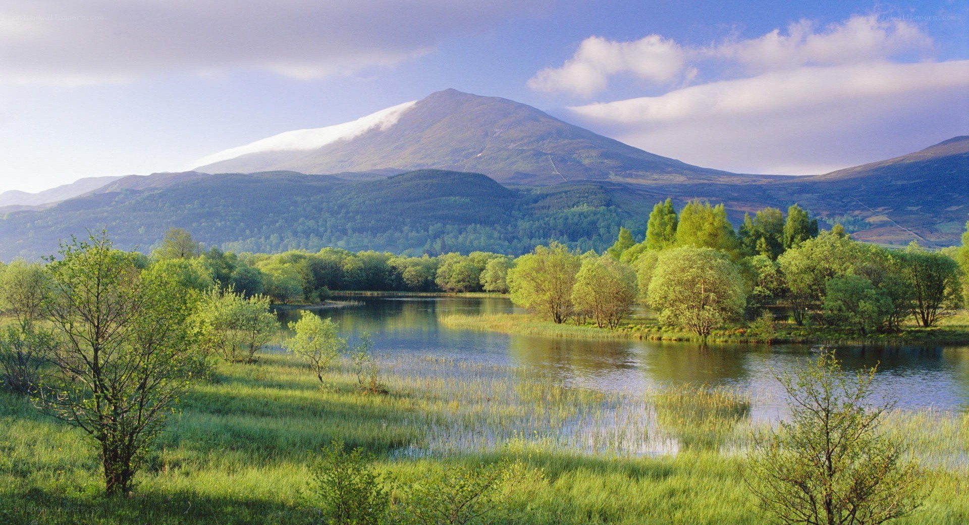 Lush landscape with lake and mountain