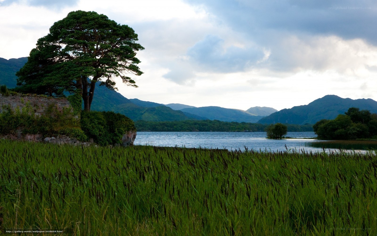 Lush landscape with lake and mountains