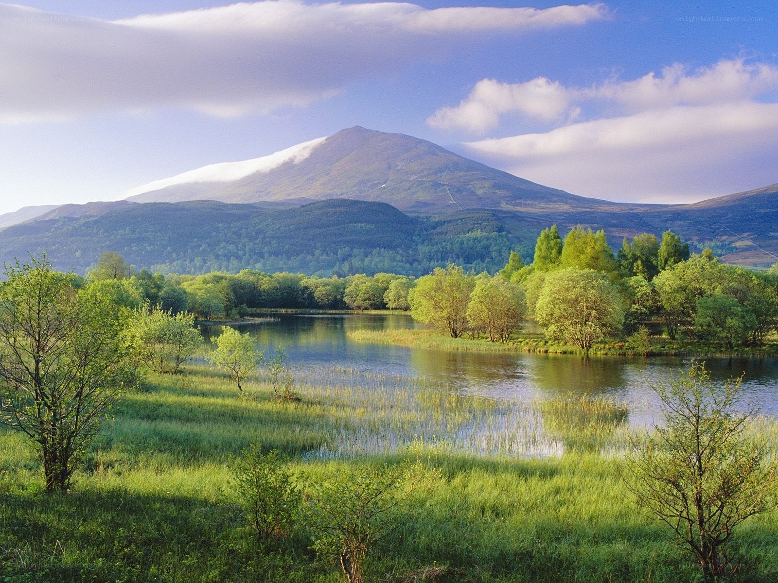 Lush landscape with mountain view