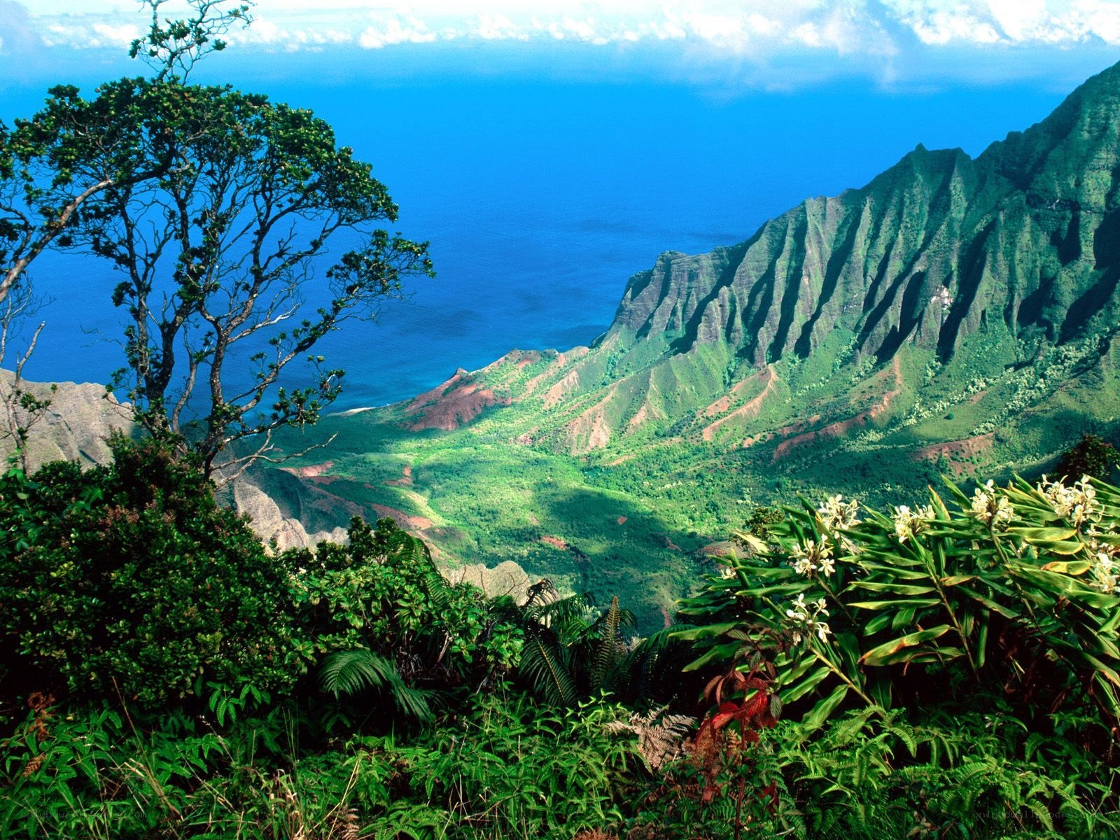 Lush mountains overlooking the ocean