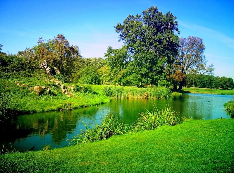 Lush park with pond and trees