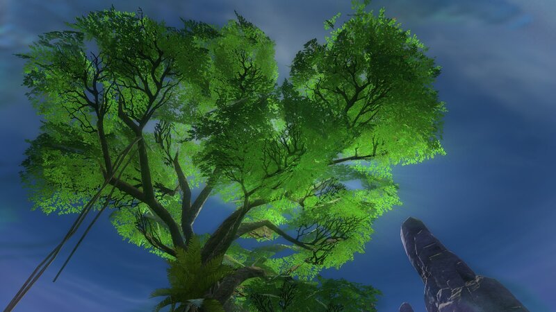 lush tree canopy view