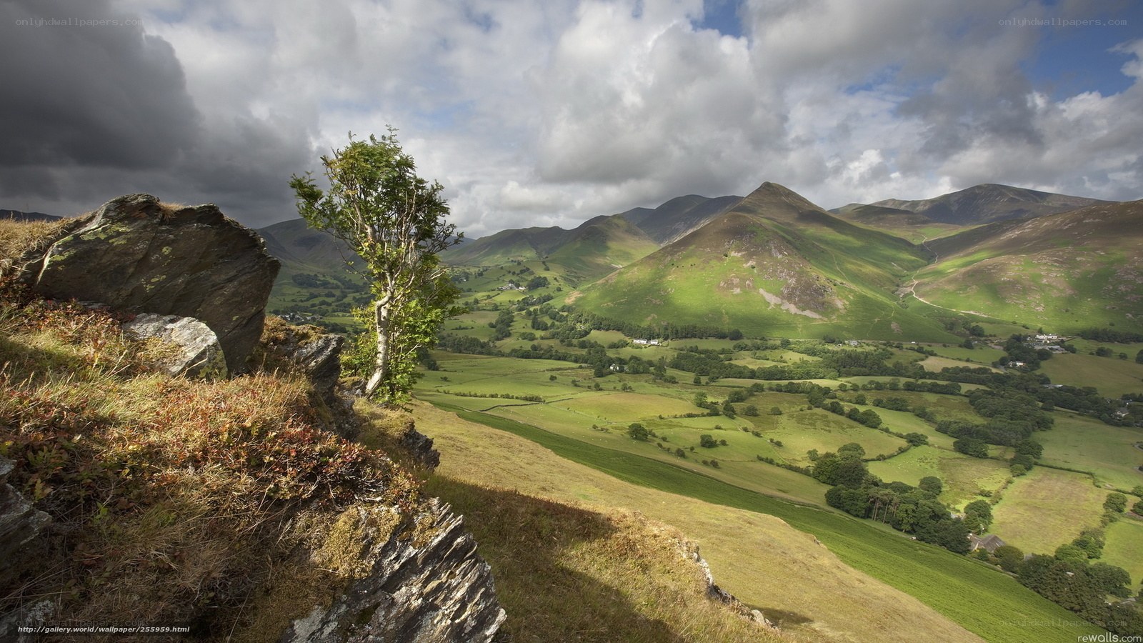 Lush valley with green hills