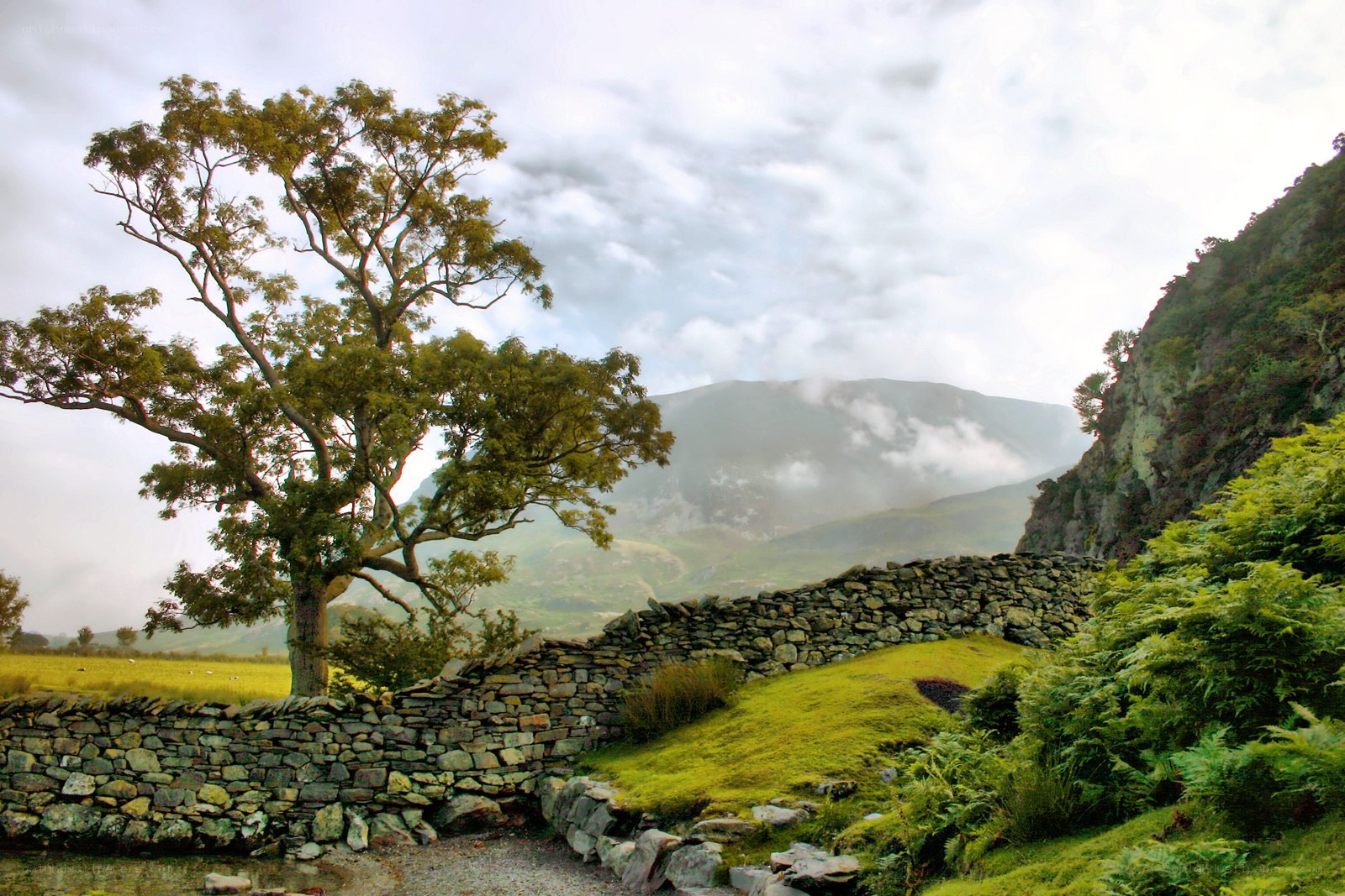 Lush valley with stone wall