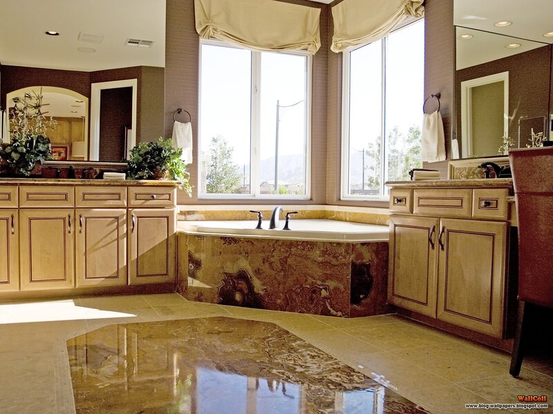Luxury bathroom with bathtub